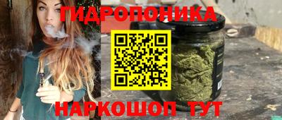 spice Будённовск