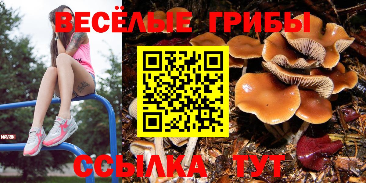 Псилоцибиновые грибы Cubensis  Вход с VPN  Лабытнанги 