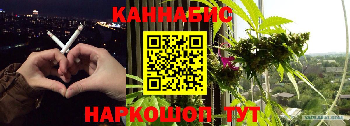 Каннабис Bruce Banner Лабытнанги